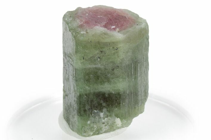 Bicolor Elbaite Watermelon Tourmaline - Afghanistan #354931